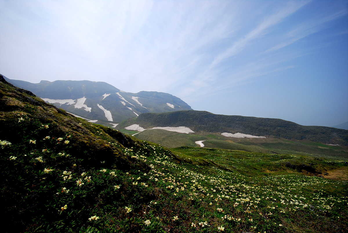 DSC_0350ss.jpg