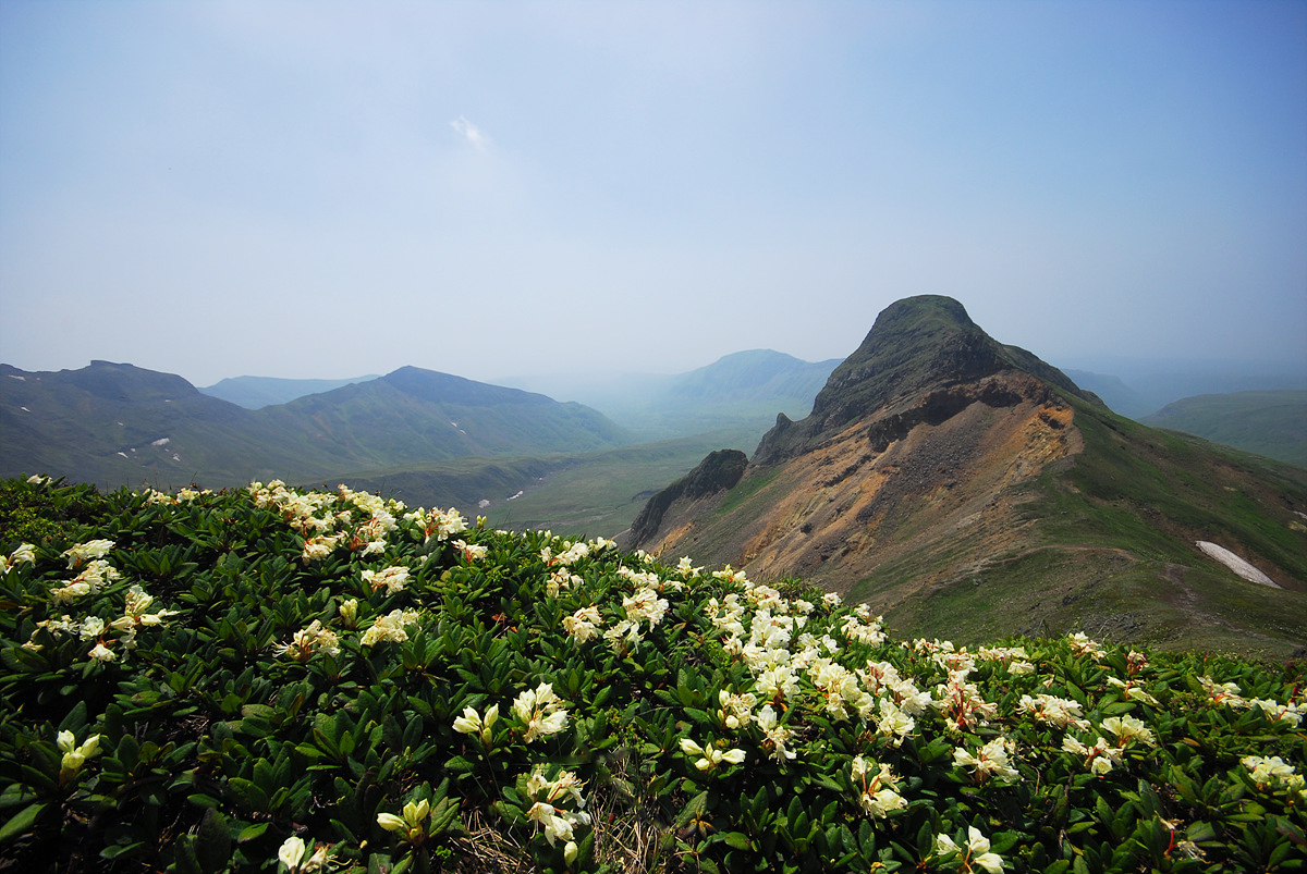 DSC_0609ss.jpg