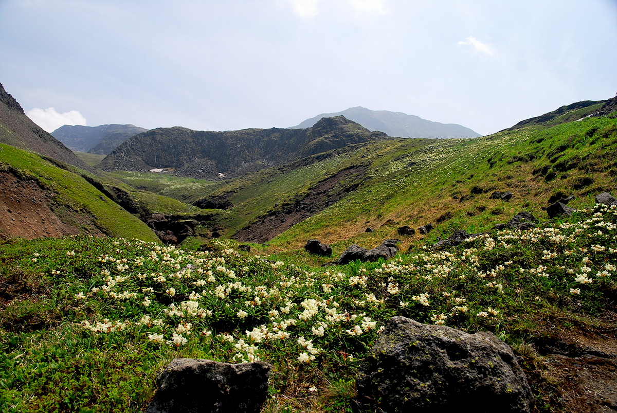 DSC_0457ss.jpg