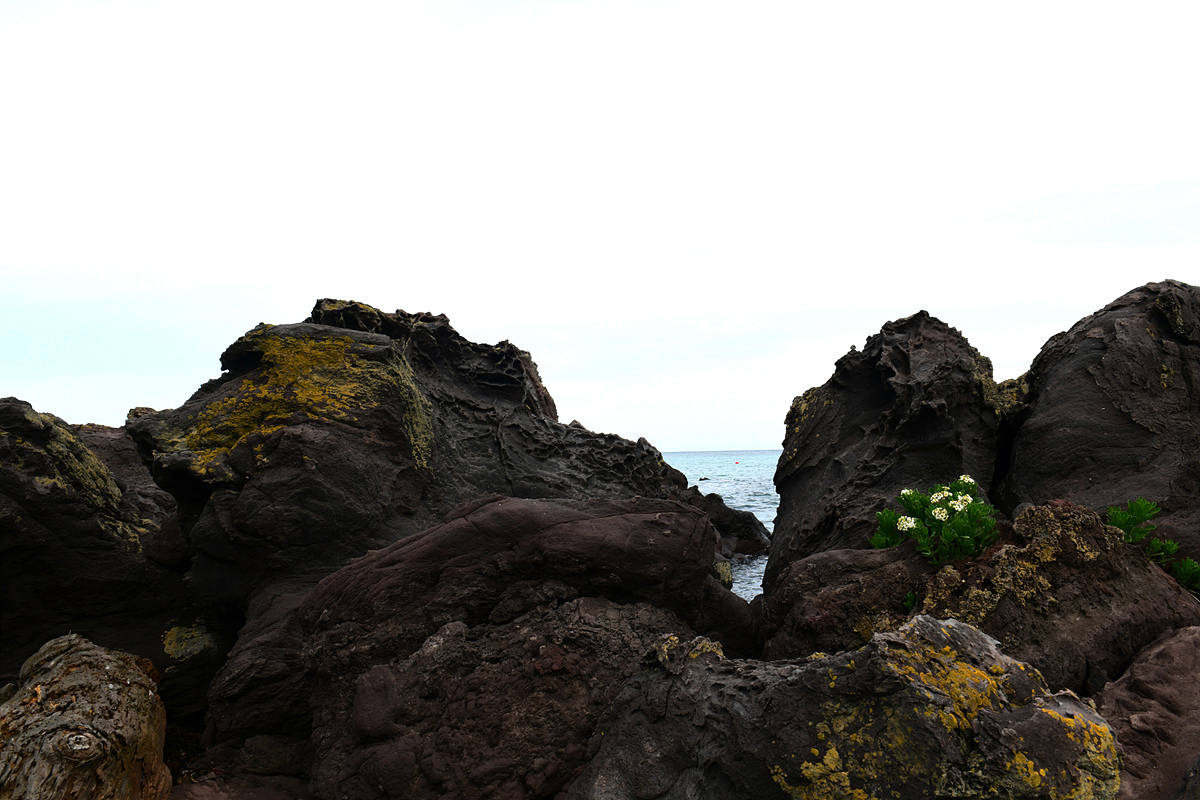 DSC_4503sss.jpg