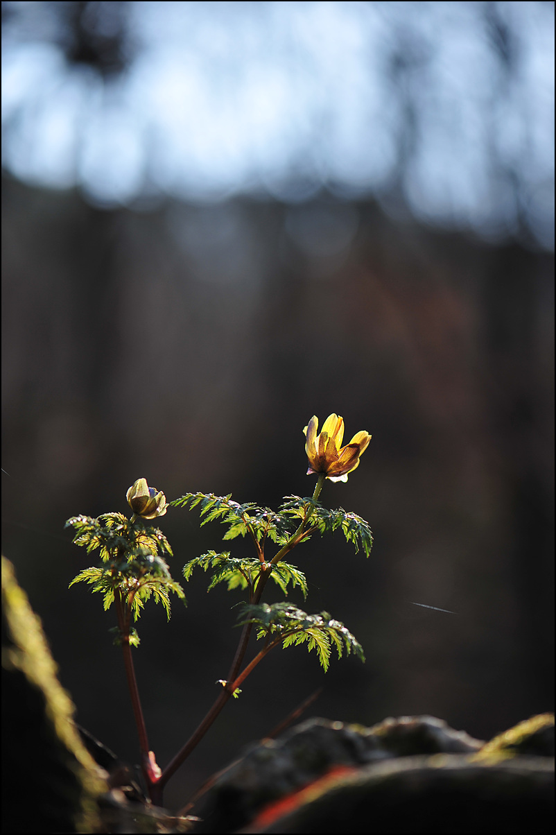 DSC_7748.jpg