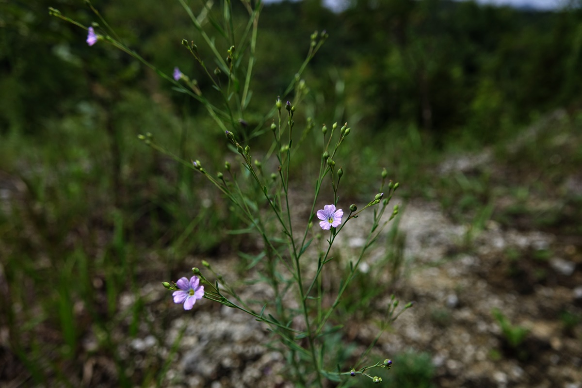 20-08-04 (192)-1.JPG