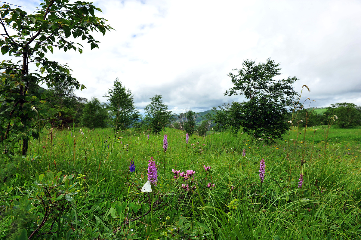 DSC_3770aa.jpg
