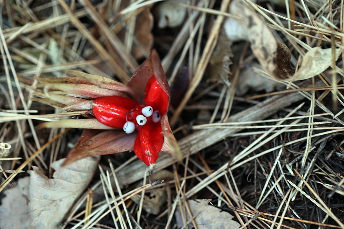 25-12-01 (122)-1.JPG