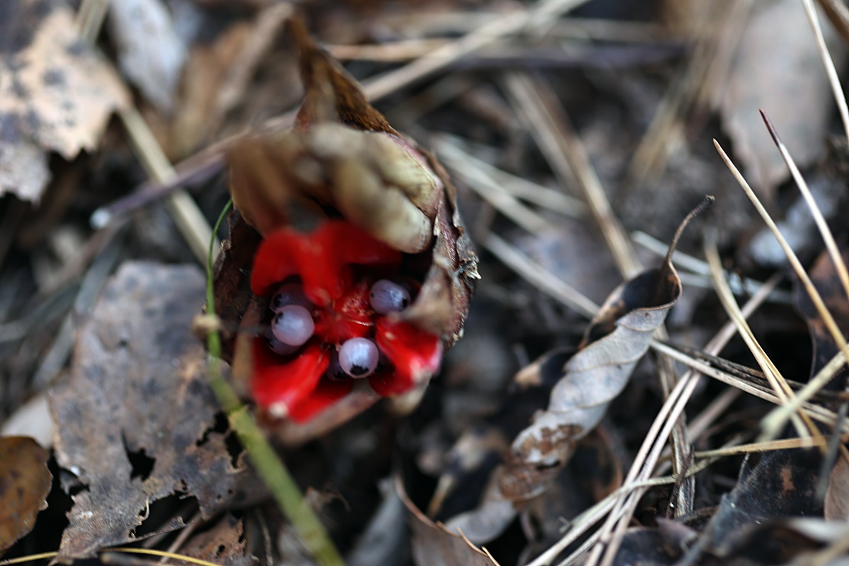 25-12-01 (133)-1.JPG