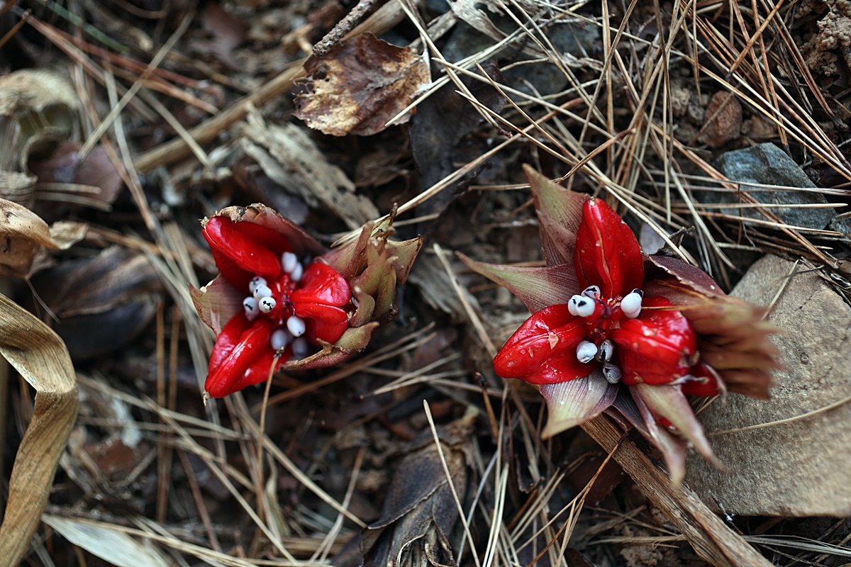 25-12-01 (146)-1.JPG