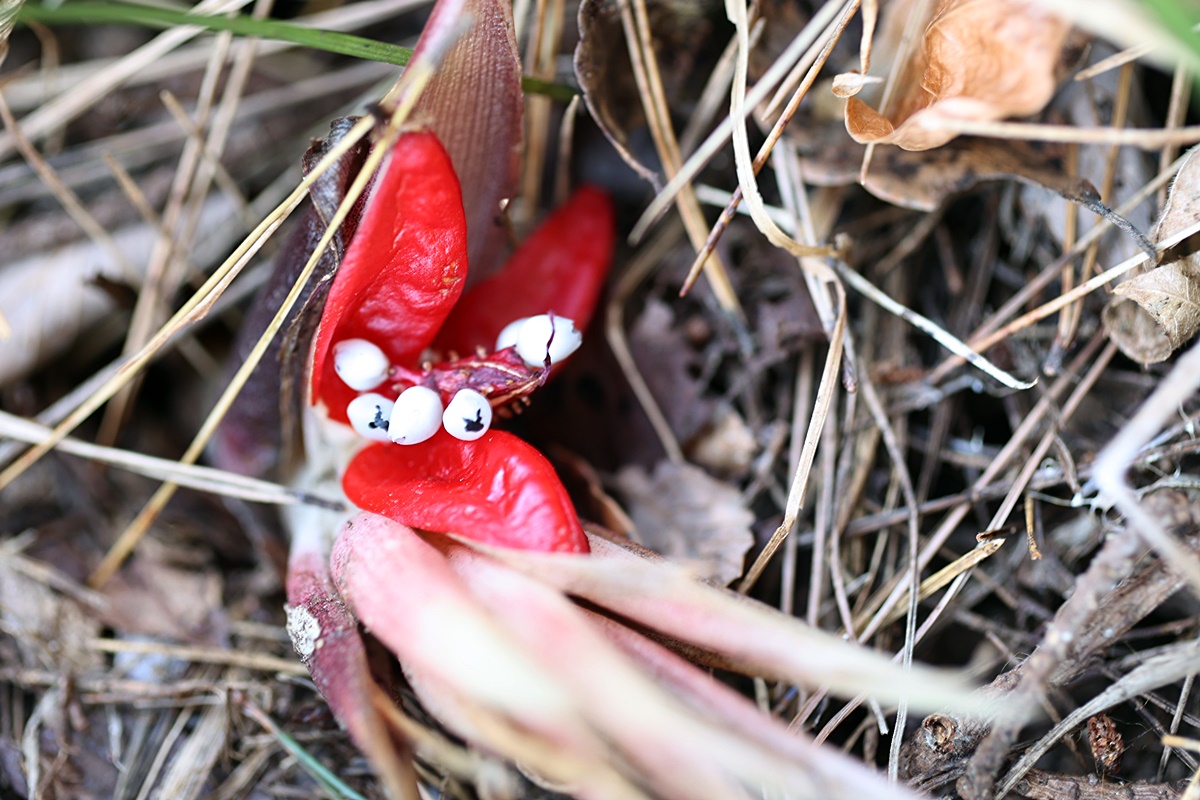 25-12-01 (139)-1.JPG