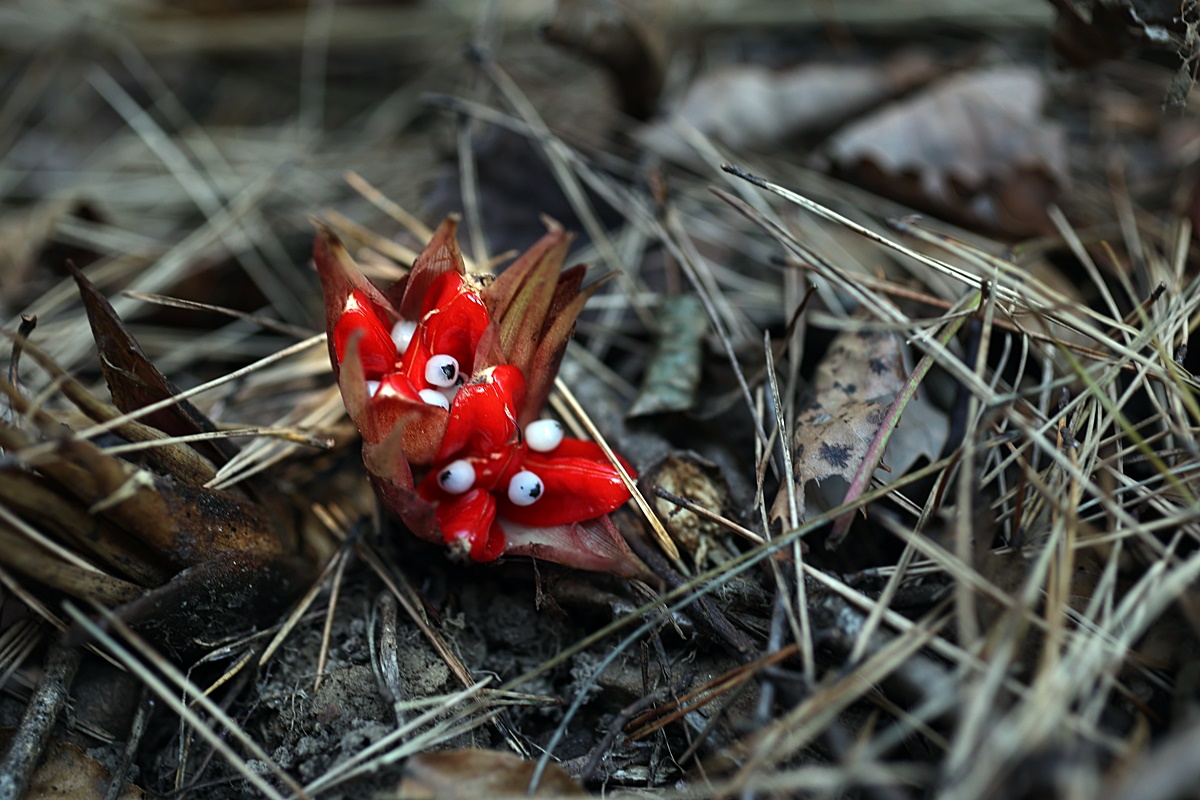 25-12-01 (130)-1.JPG