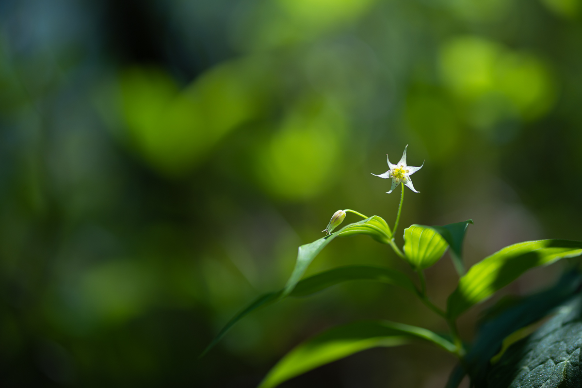 DSC_9156.jpg