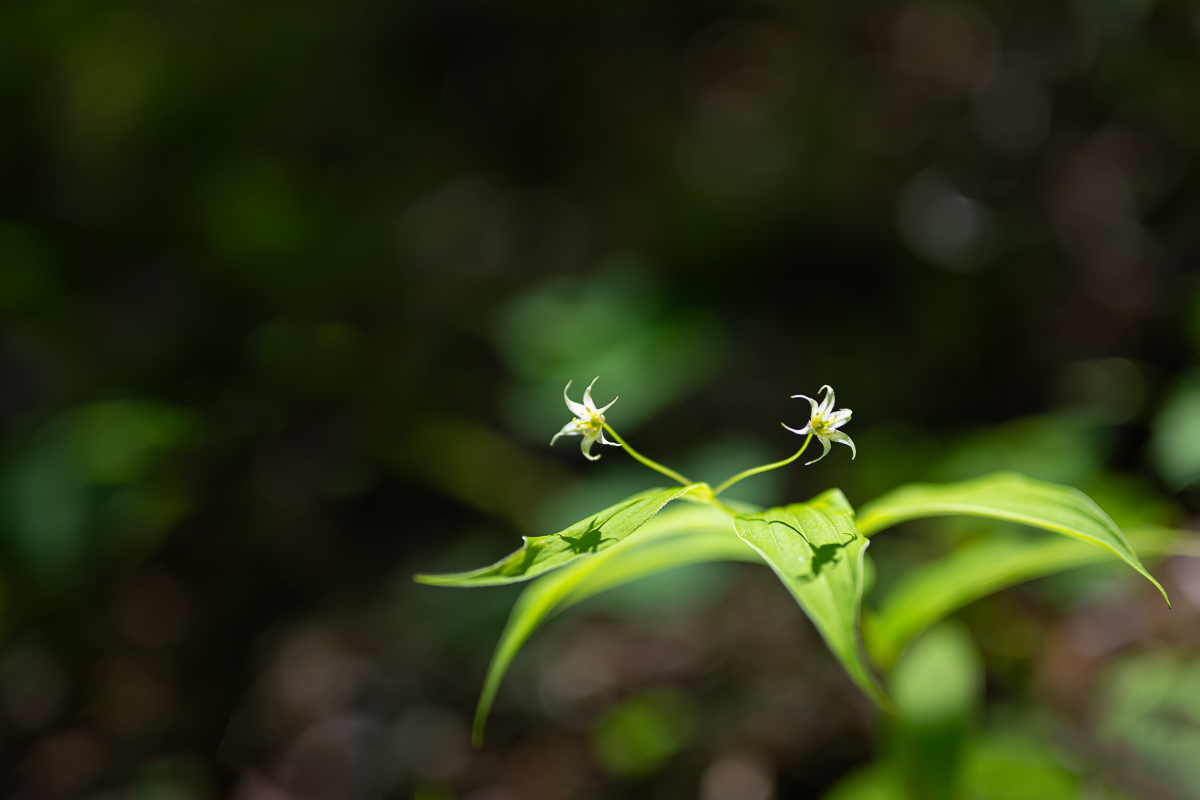 DSC_8949.jpg