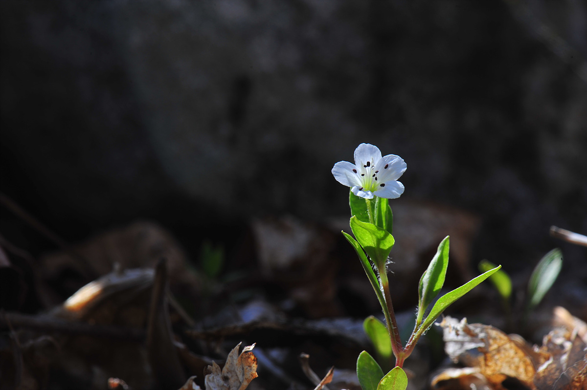 DSC_7772.jpg