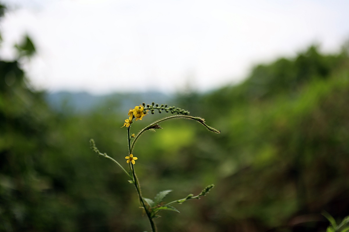 25-06-26 (57)-1.JPG