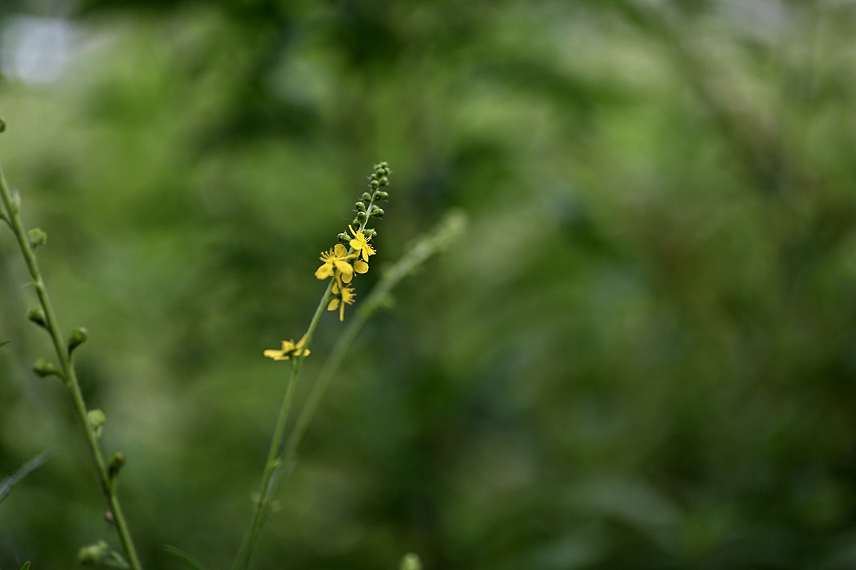 25-06-26 (60)-1.JPG