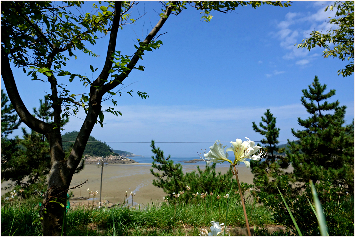 KHS04731.jpg