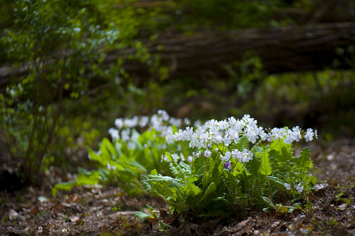 DSC_5816cc.jpg