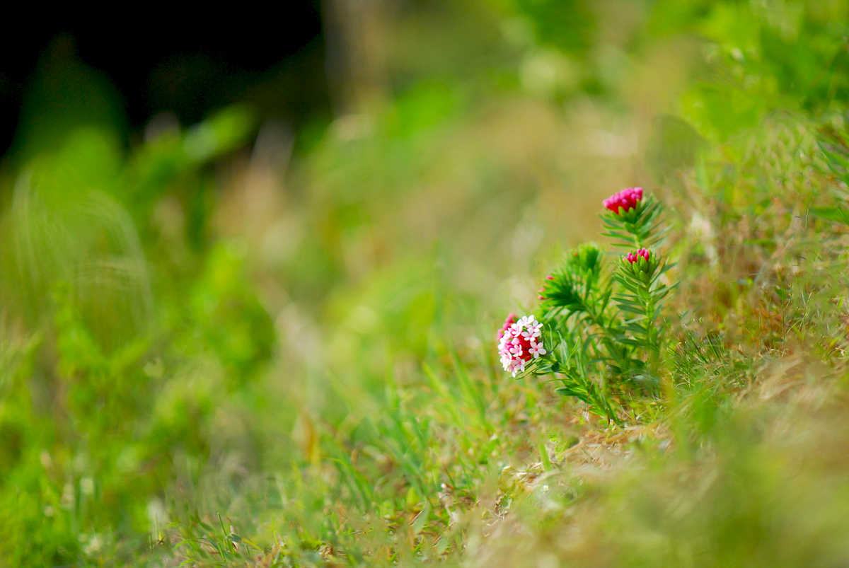 20100508JJ 1060a.jpg