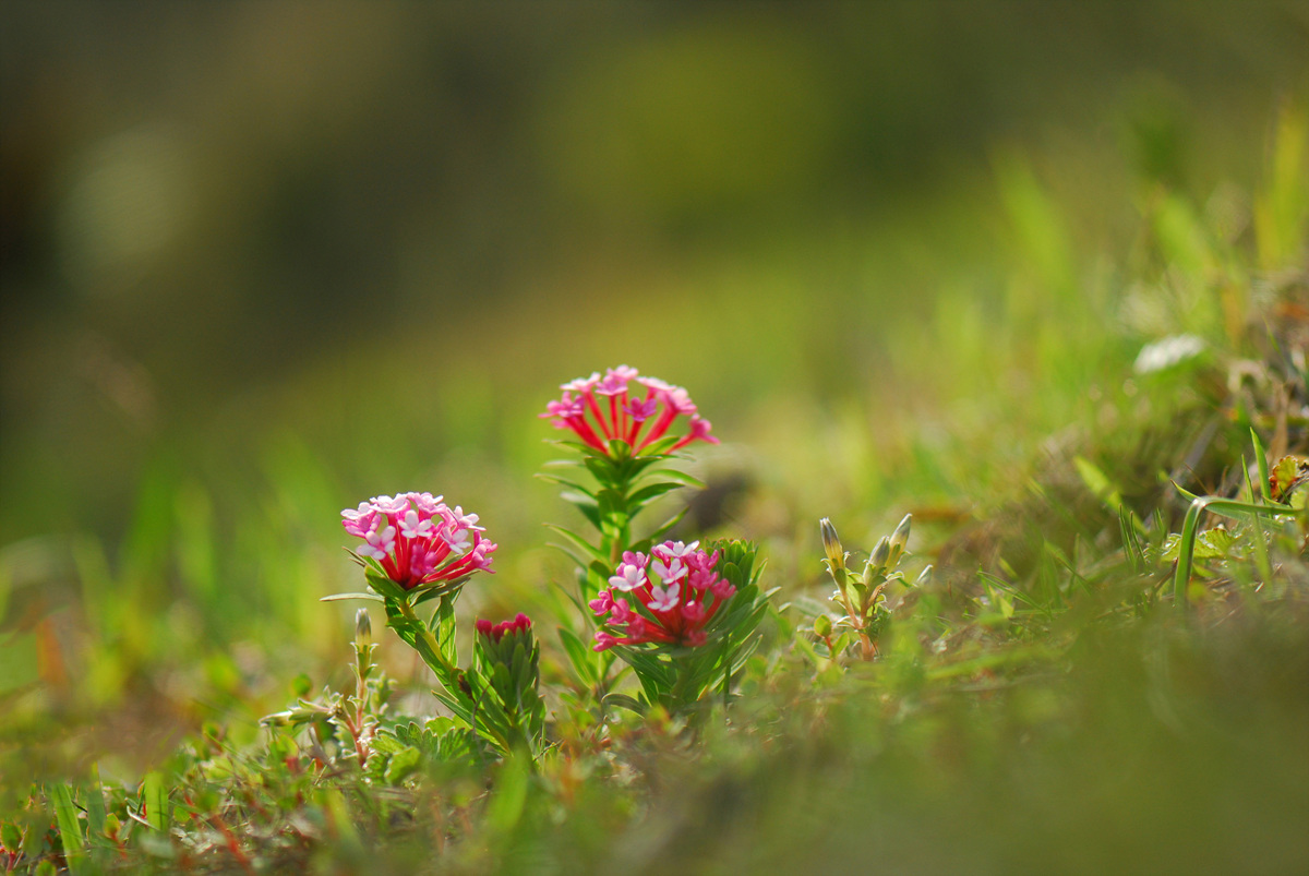 20100508JJ 1010ss.jpg