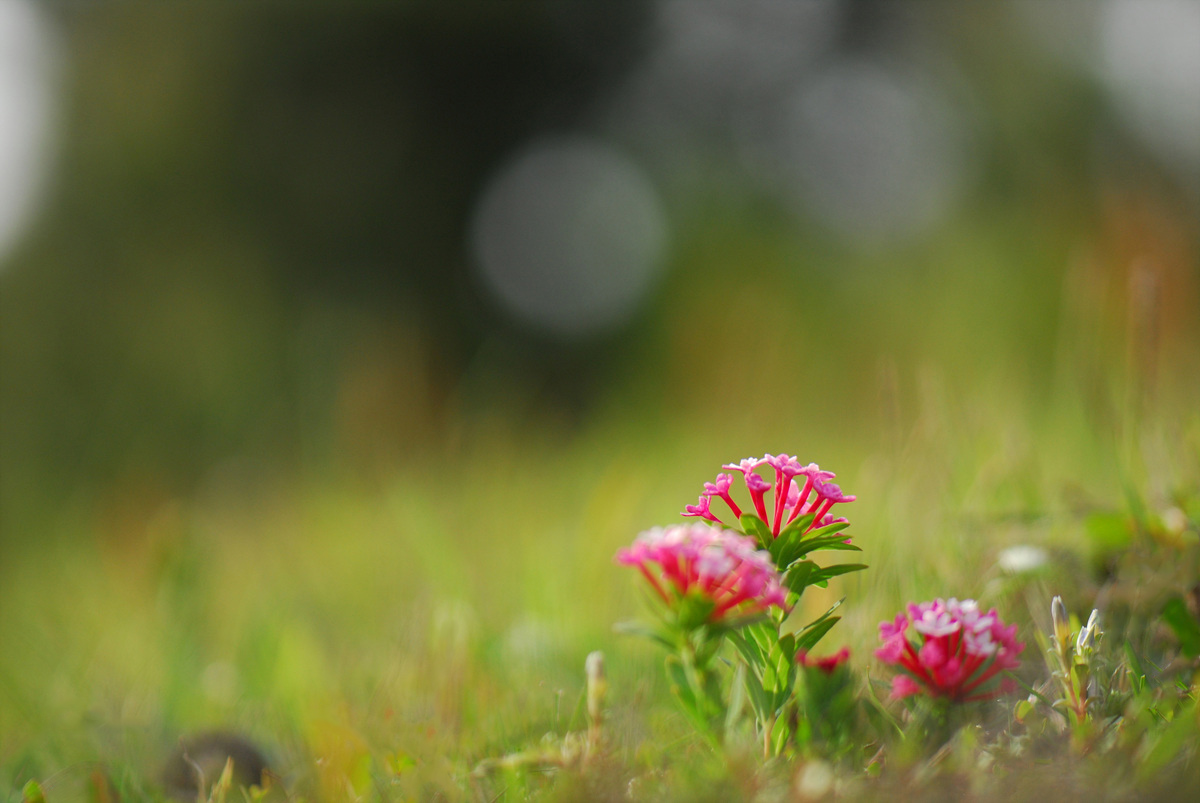20100508JJ 1039aa.jpg