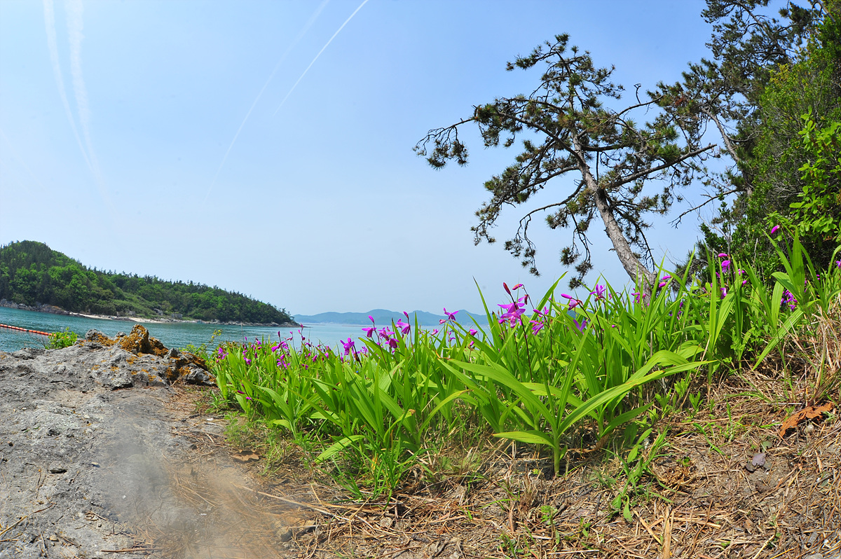DSC_8687.jpg