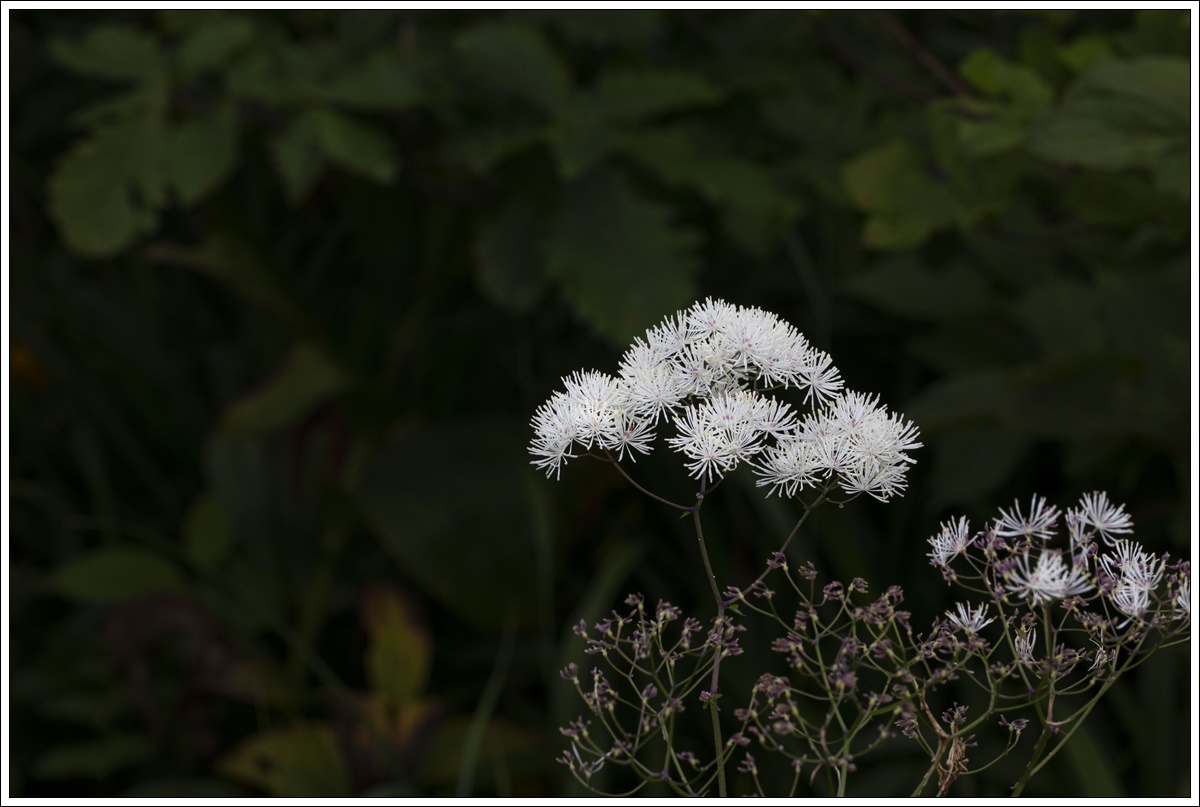 0L3A5653-4.jpg
