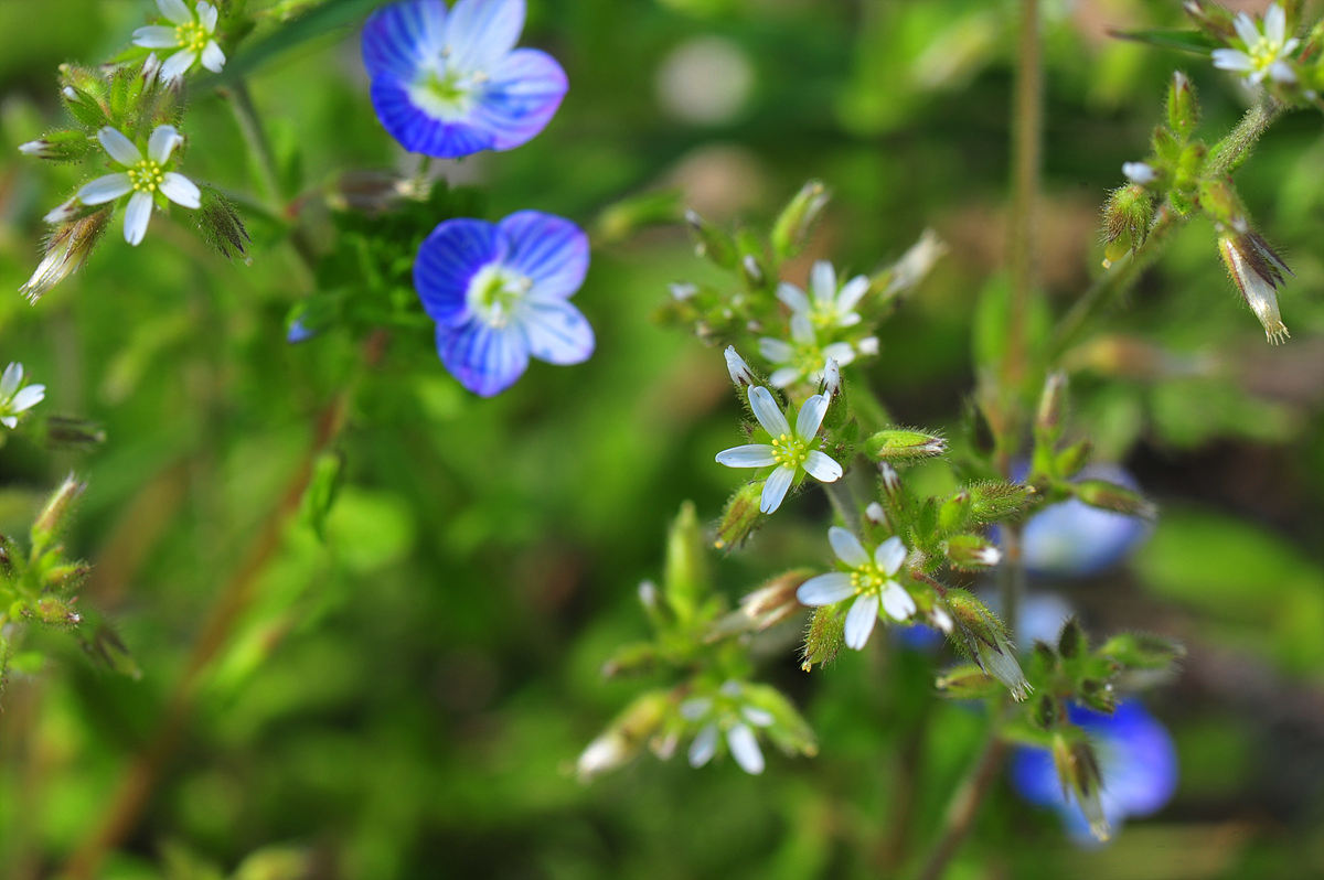 DSC_2944s.jpg