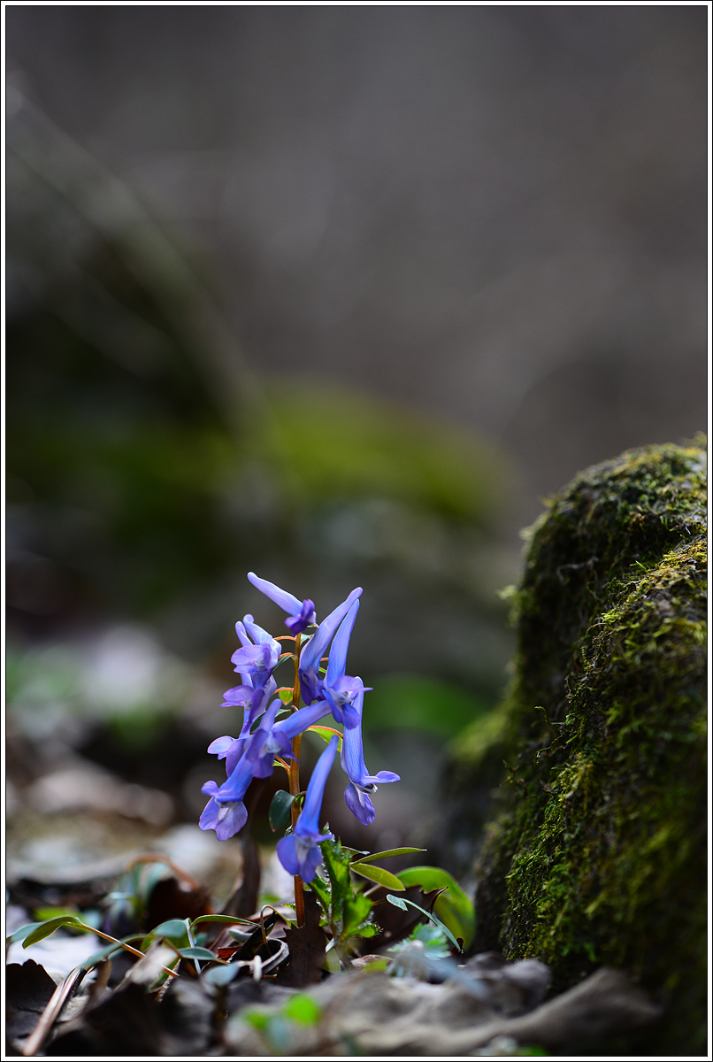 CJH_0901 완.jpg