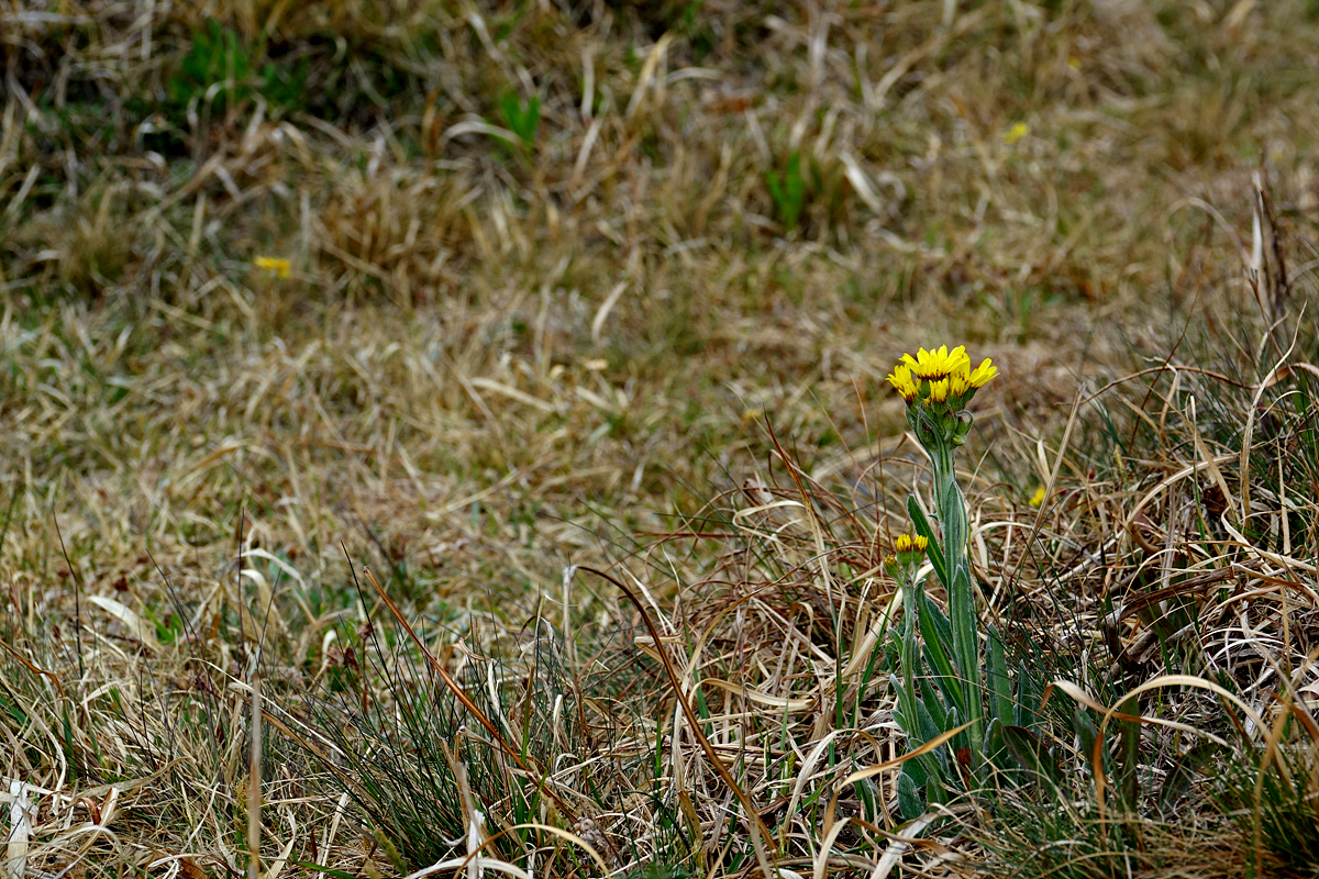 KHS09801.jpg
