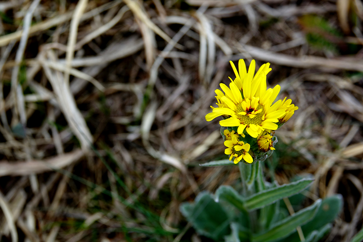 KHS09802.jpg