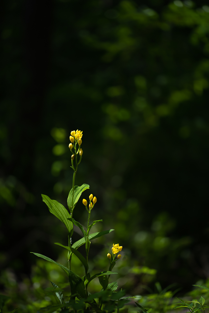 DSC_8542.jpg