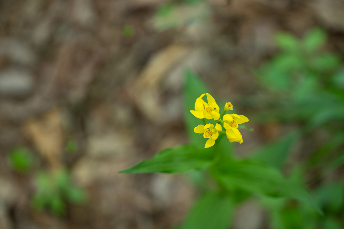 DSC_7615.jpg