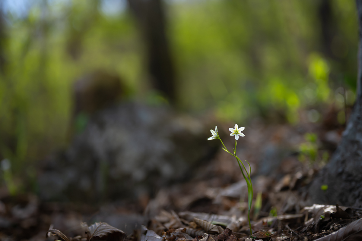 DSC_7163.jpg