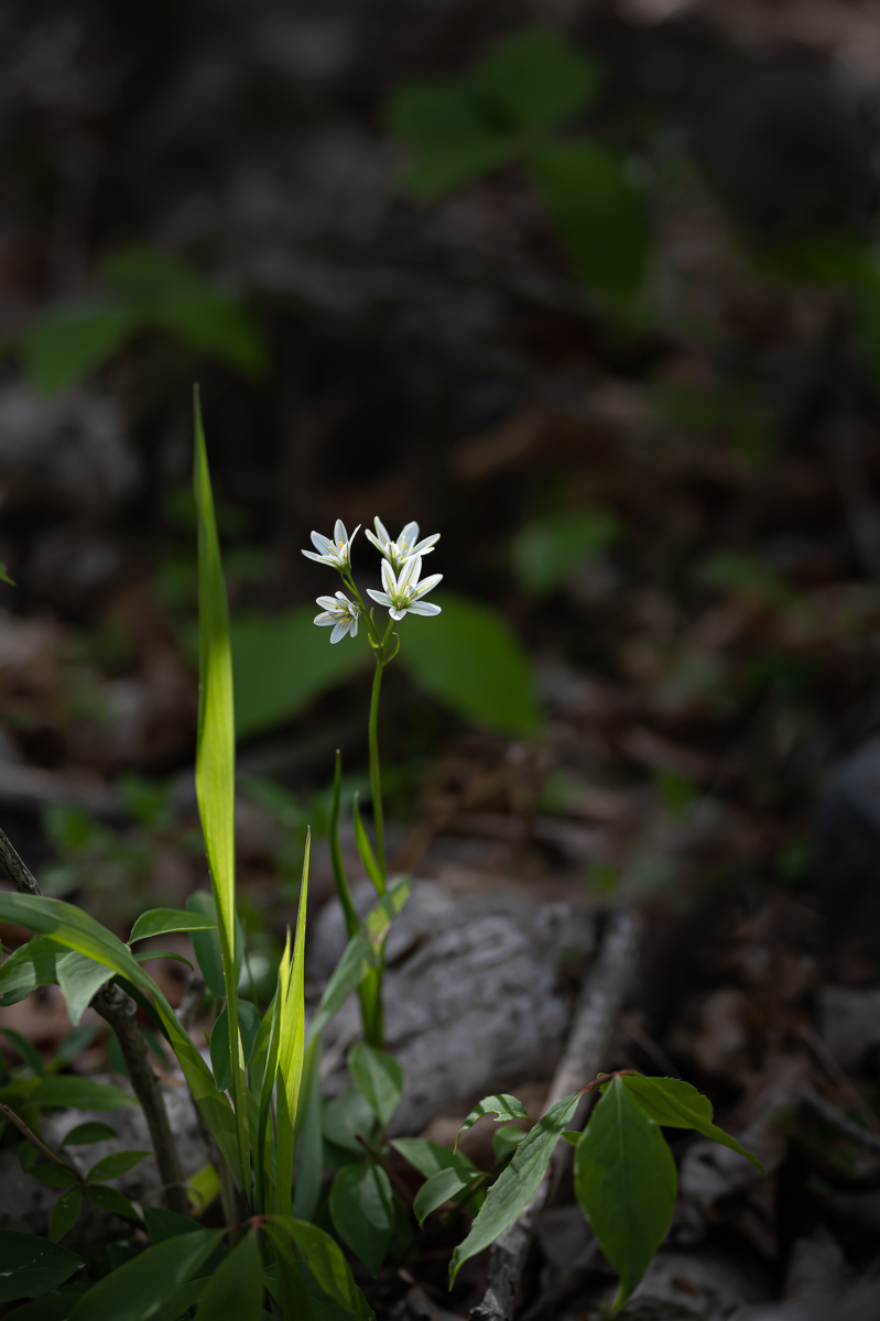 DSC_7148.jpg