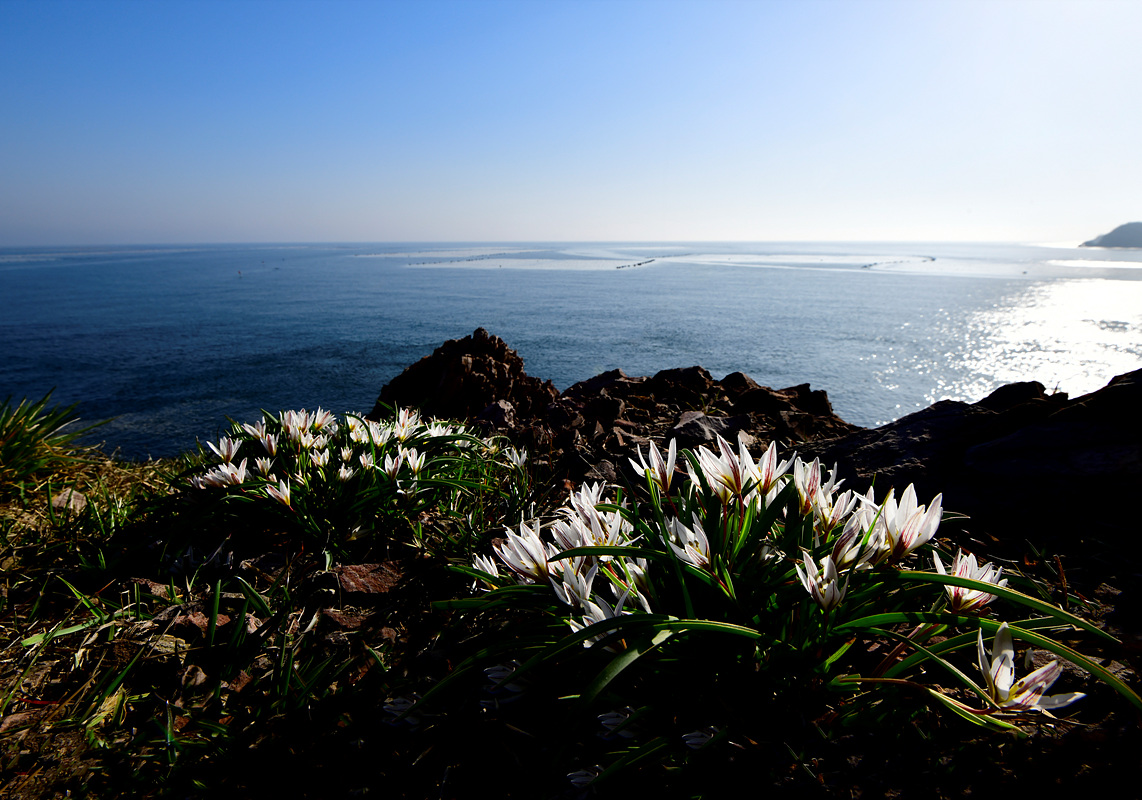 _DSC9422aa.jpg