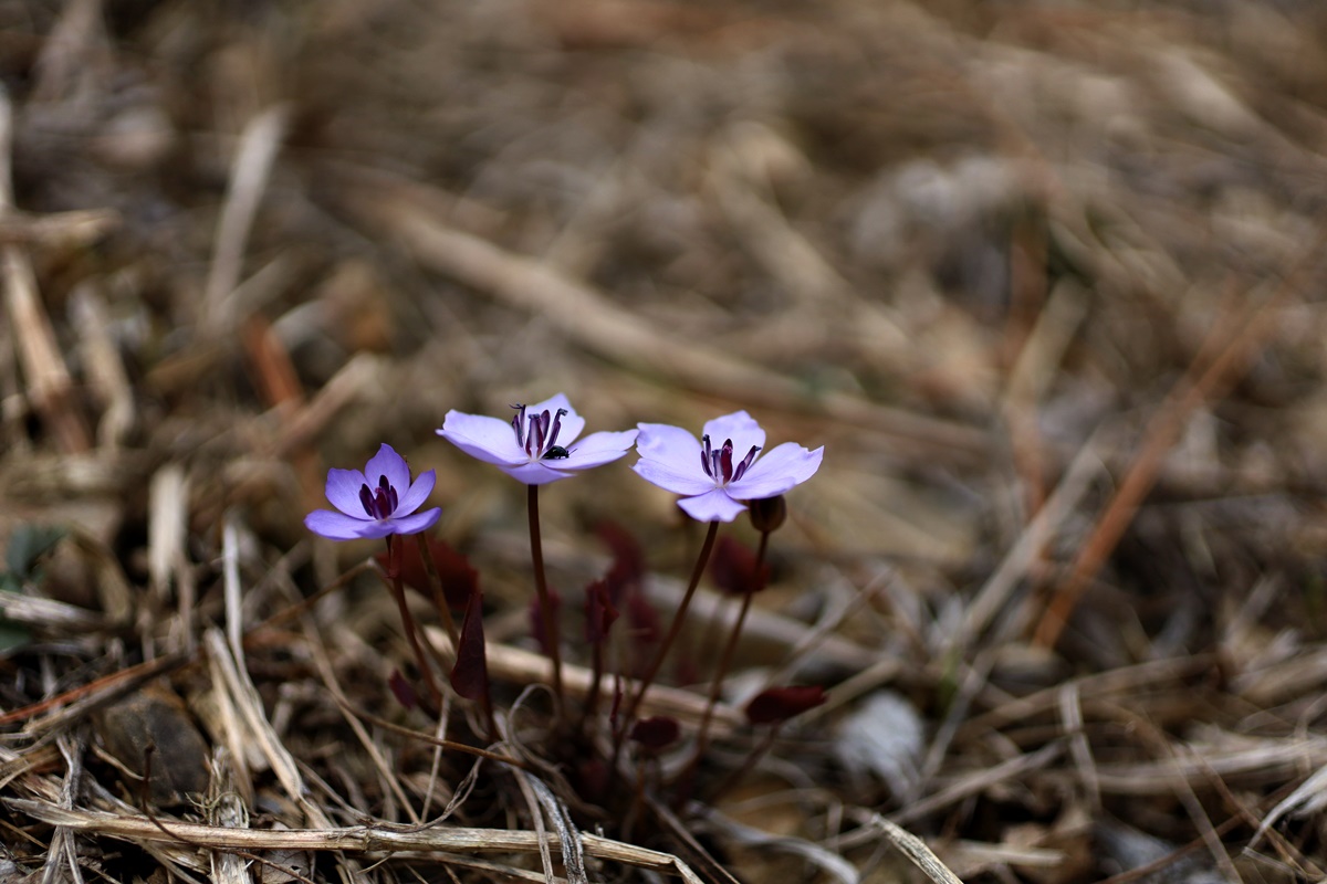 21-03-26 (128)-1.JPG