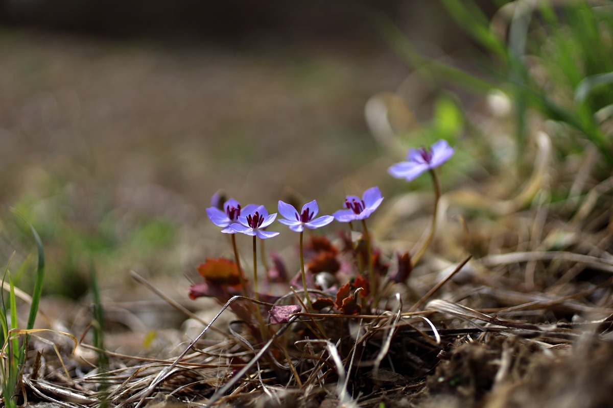 21-03-26 (121)-1.JPG