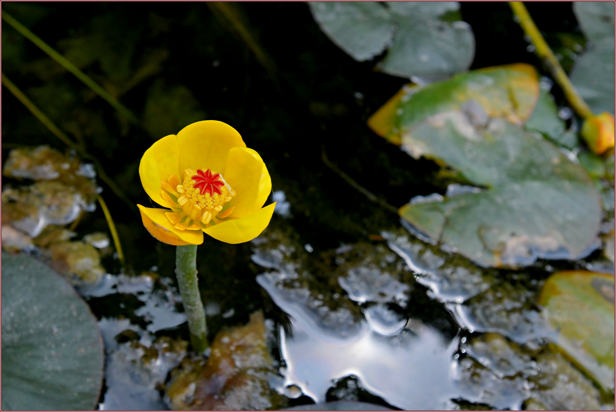 DSC_3146.jpg