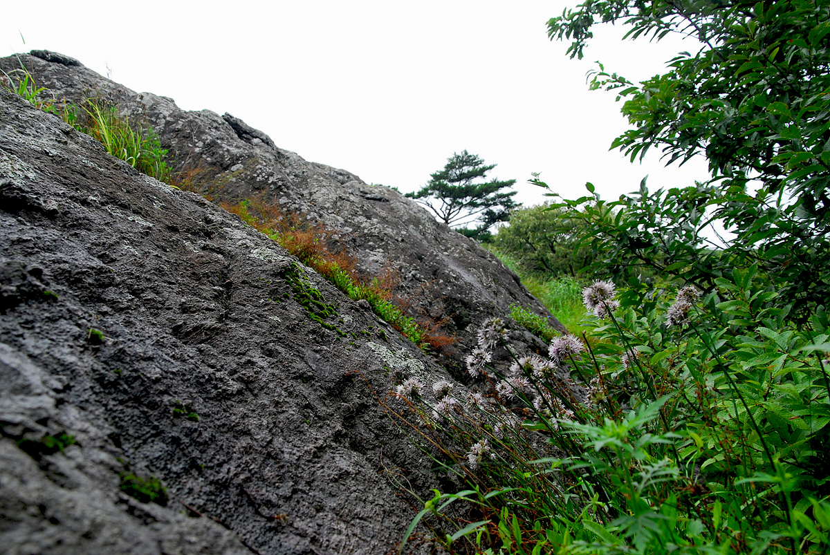 0808015k 617ss.jpg