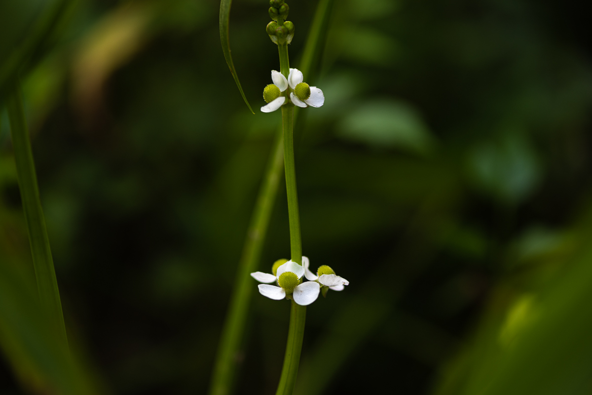 20200919-DSC_0168.jpg
