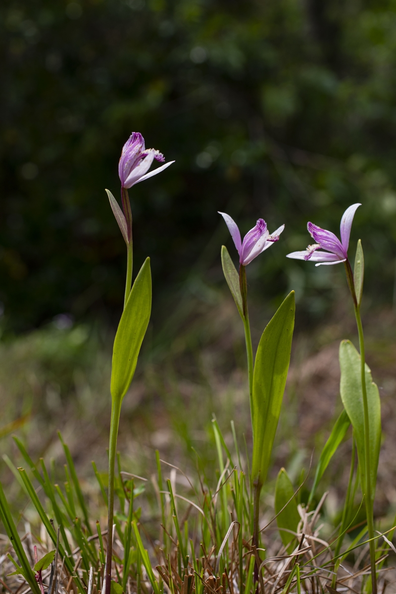 1E6A7651.jpg
