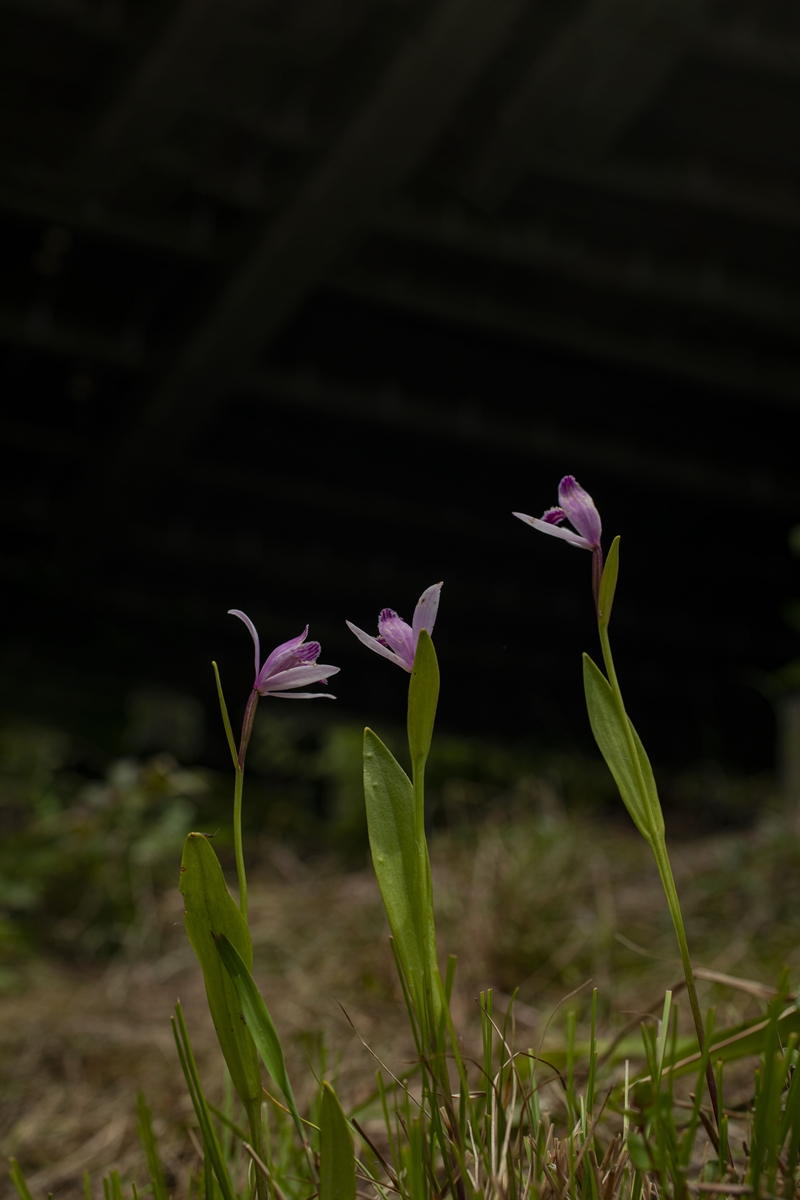 1E6A7672.jpg