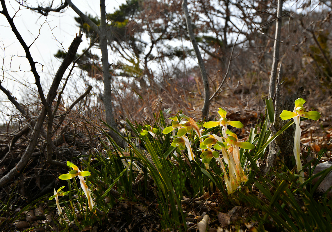 _DSC0704aa.jpg