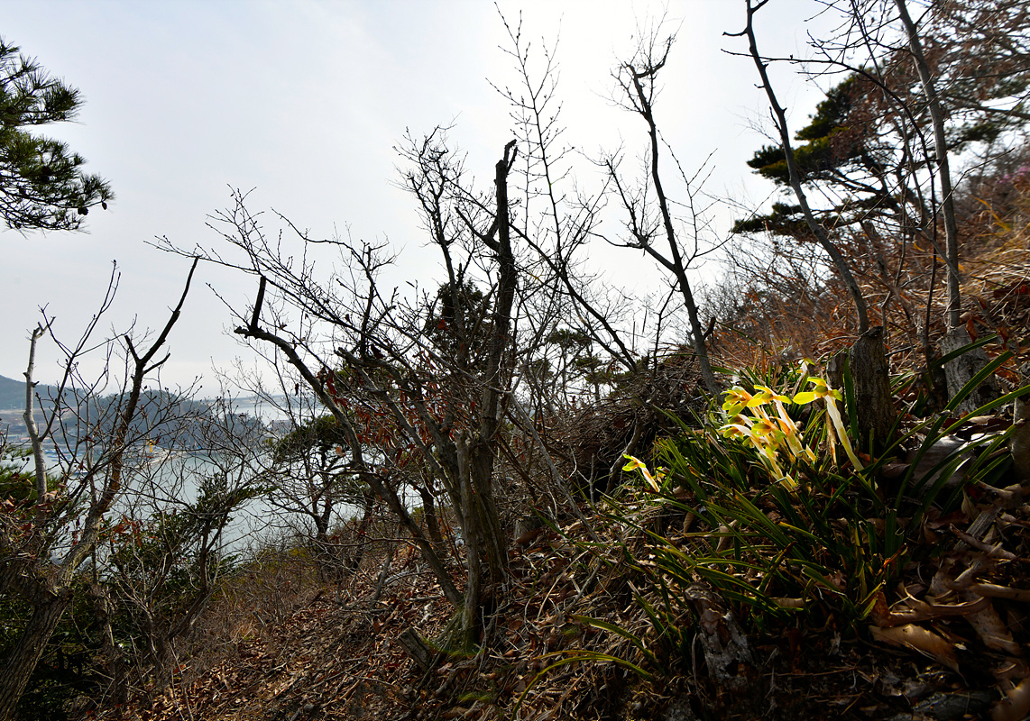 _DSC0705aa.jpg