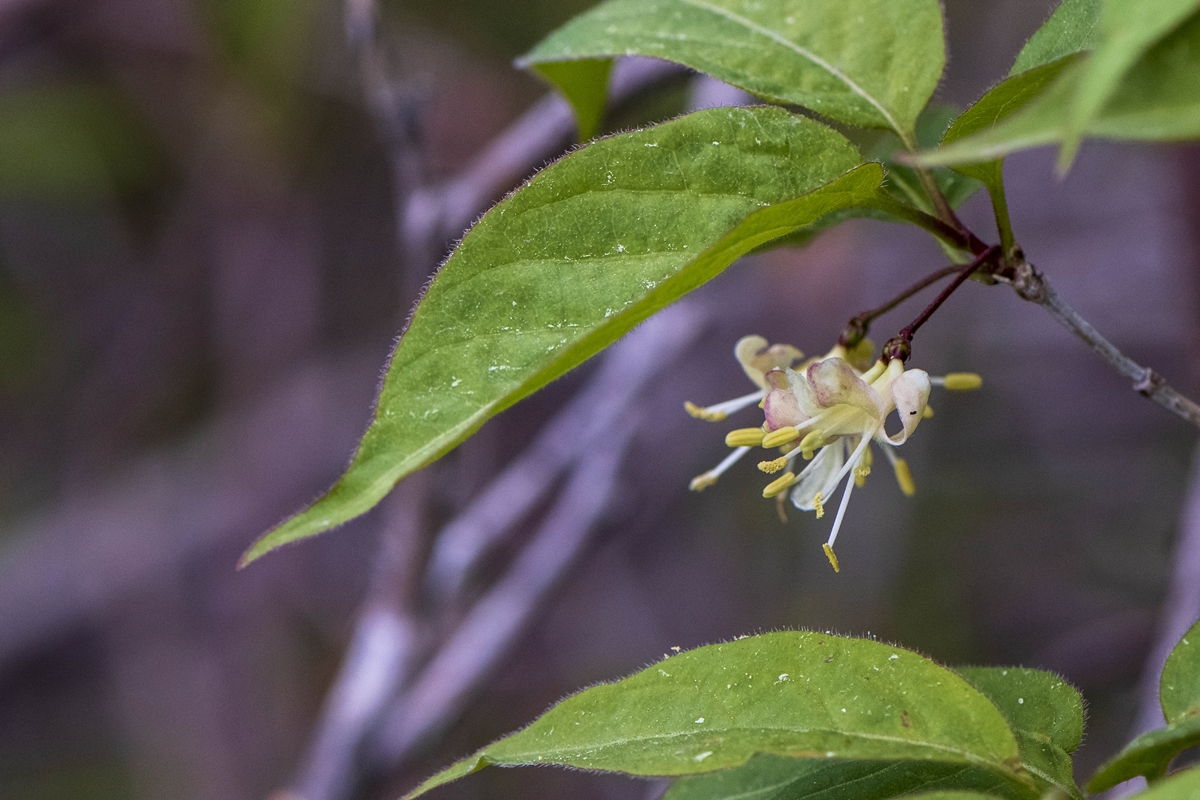 DSC_0690.jpg
