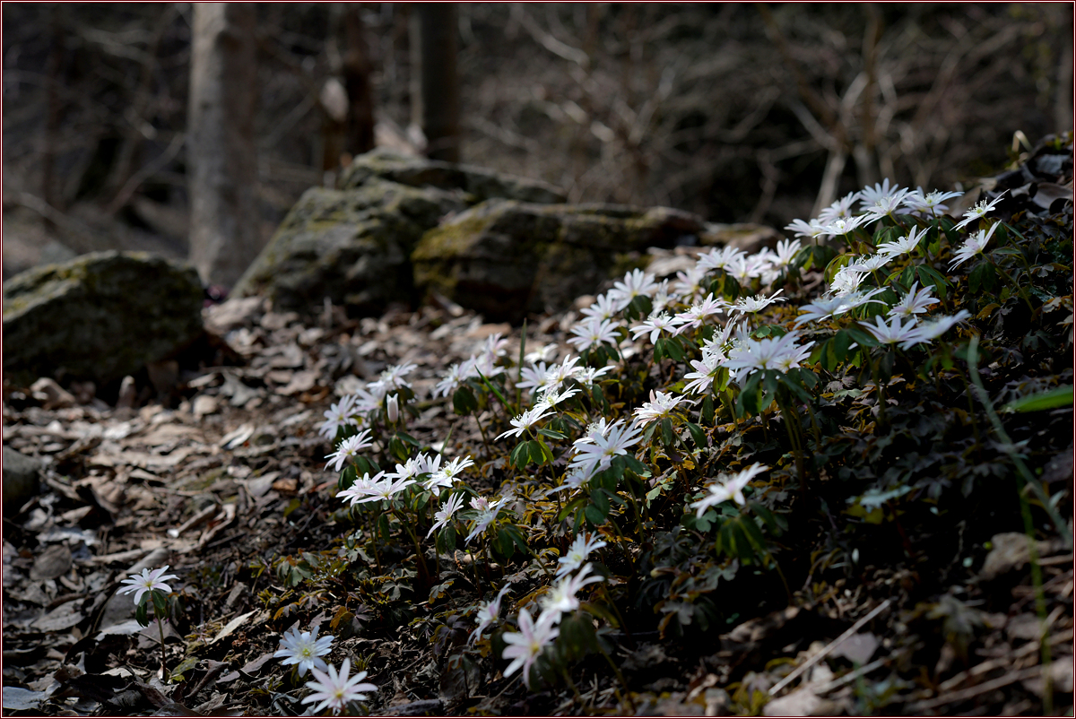DSC_8923.jpg
