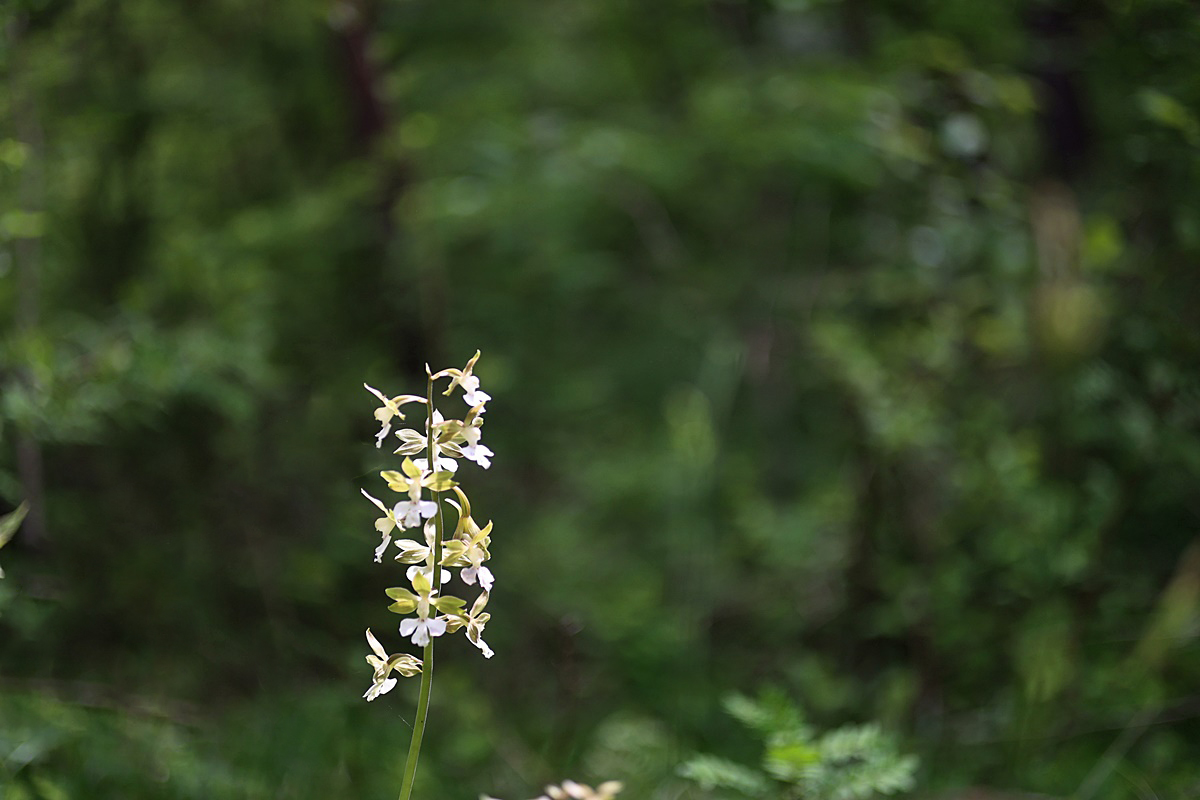 24-04-28 (111)-1.JPG
