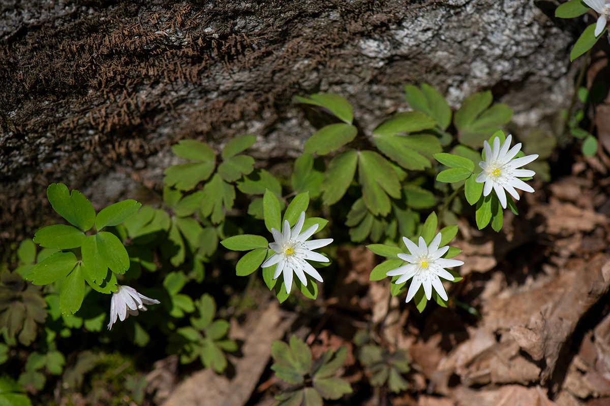 DSC_8899 복사.jpg