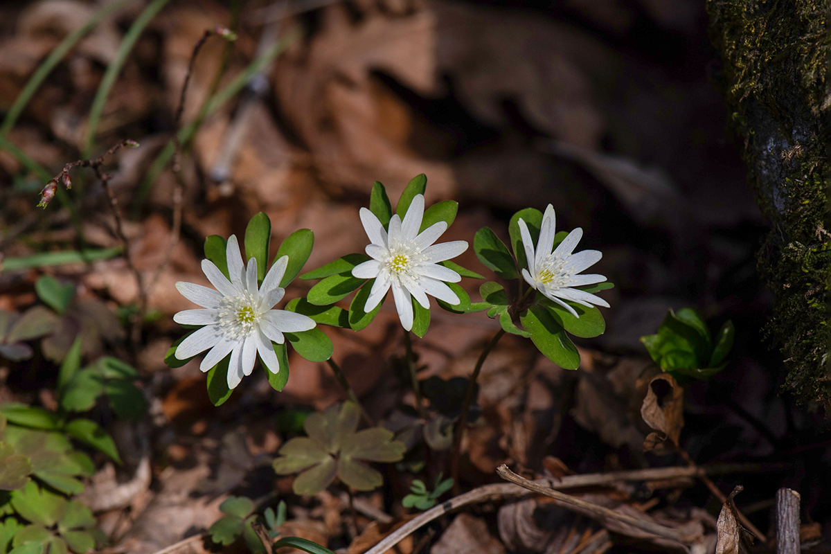 DSC_8919 복사.jpg