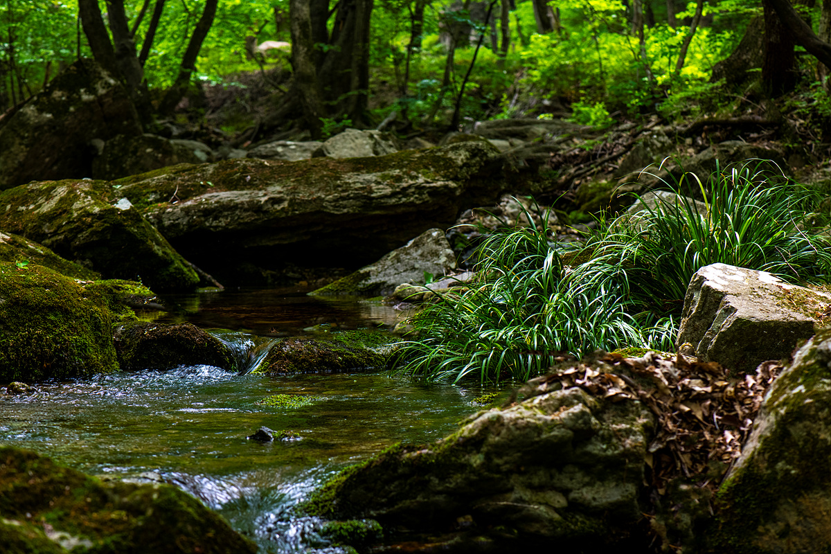 _DSC6282aa.jpg