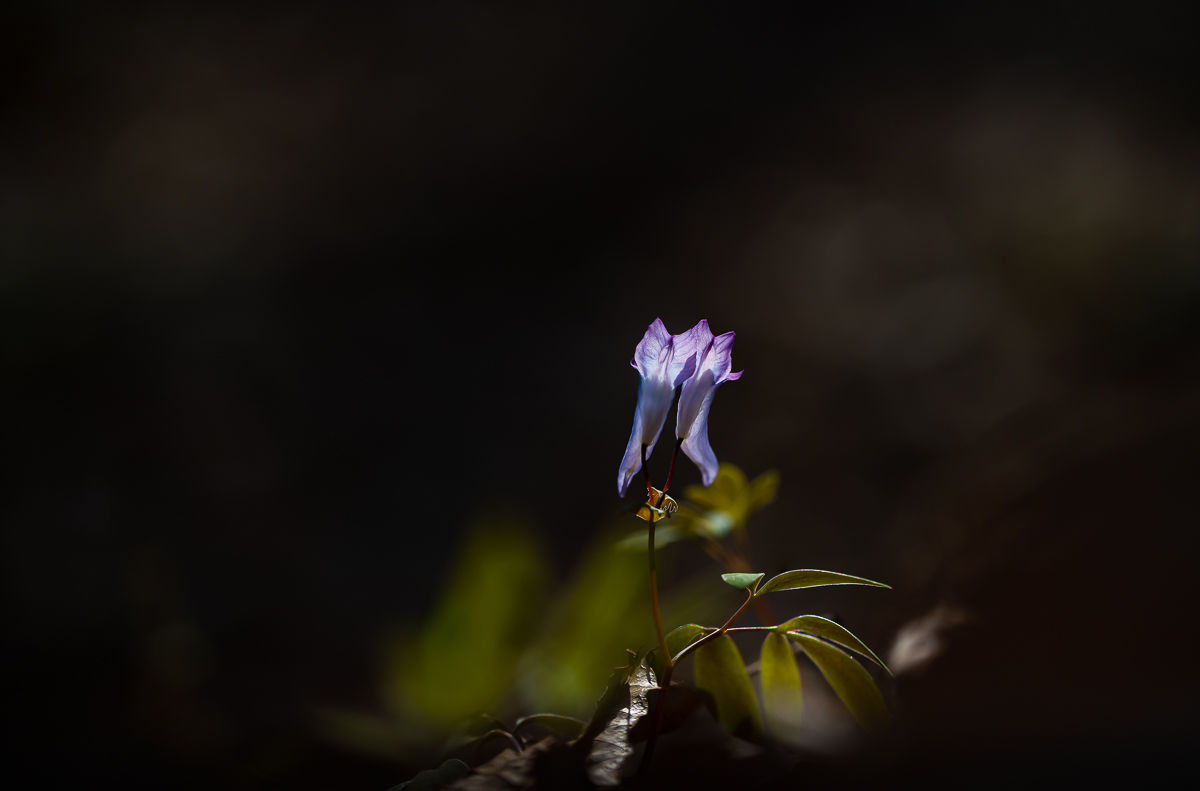 DSC_0890.jpg