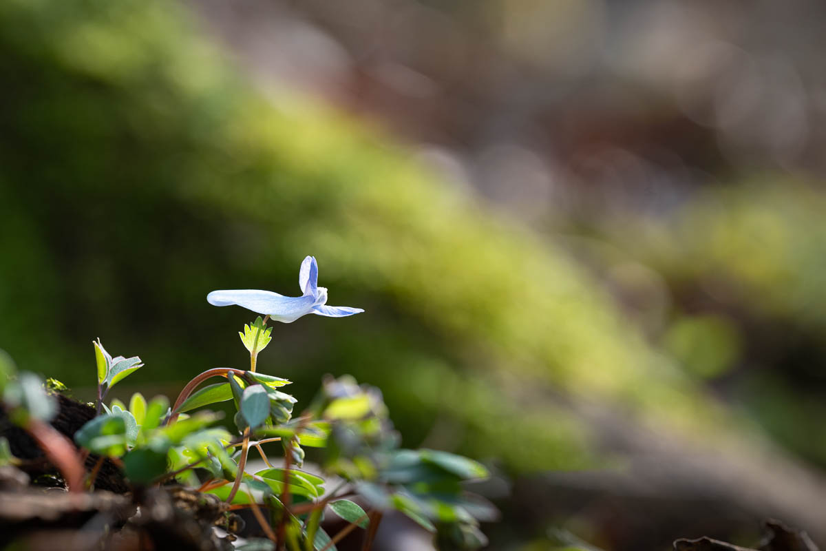 DSC_9180.jpg